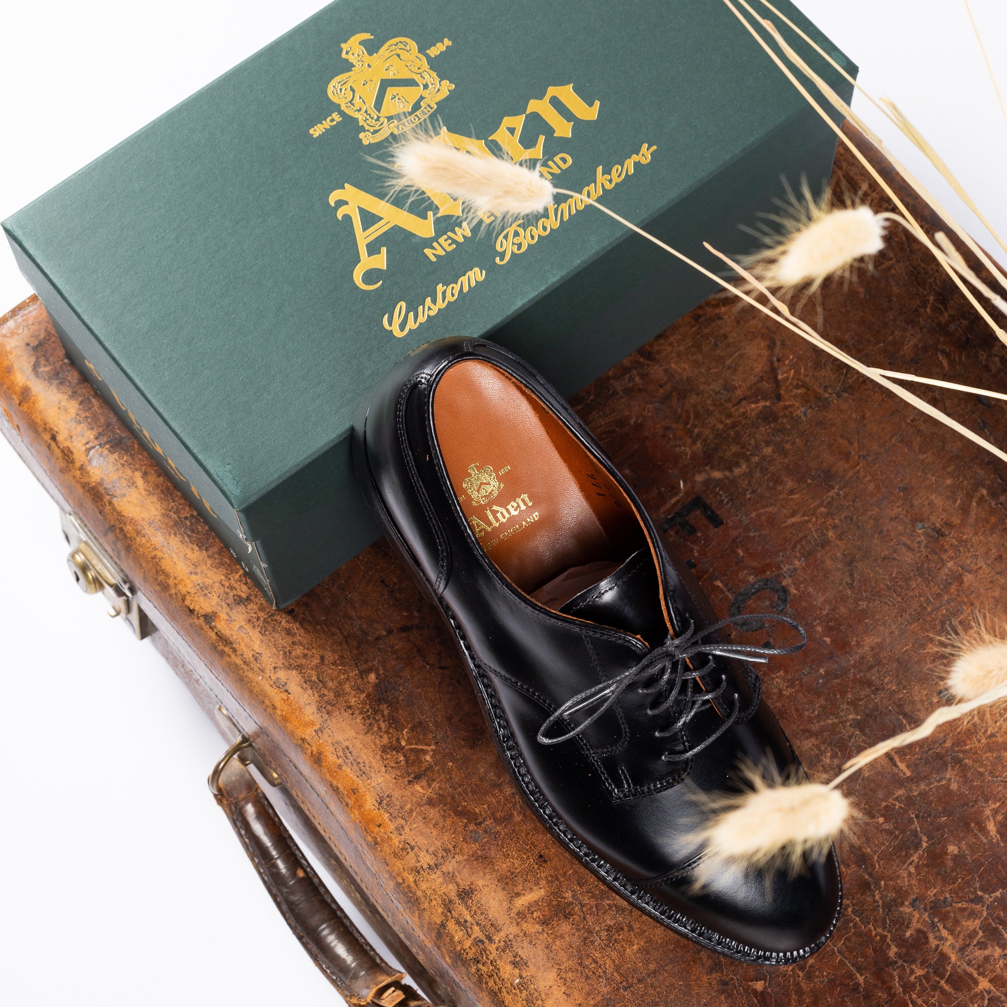 靴 ALDEN J00 Black Straight Tip Blucher 2161.34_970cdfed-9c79-4655-