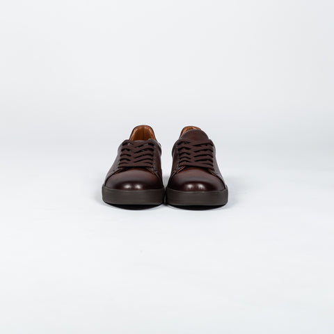 Dr.Mod Chocolate Brown Leather Sneaker - White, Denim, Leather, Italian, Knit - Back View