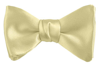 Dion Solid Silk Pre-Tied Bow Tie 6
