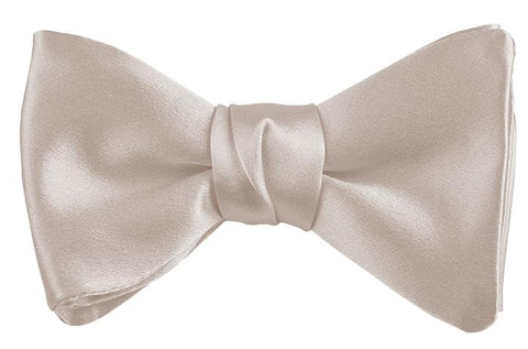 Dion Solid Silk Pre-Tied Bow Tie 12