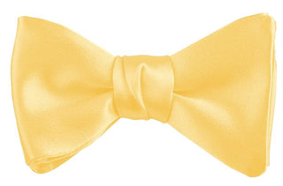 Dion Solid Silk Pre-Tied Bow Tie 13