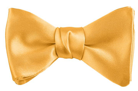 Dion Solid Silk Pre-Tied Bow Tie 14