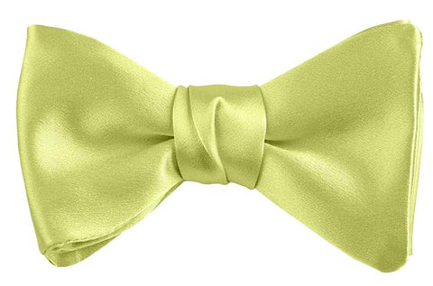 Dion Solid Silk Pre-Tied Bow Tie 15