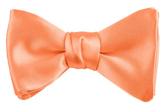 Dion Solid Silk Pre-Tied Bow Tie 16