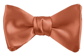 Dion Solid Silk Pre-Tied Bow Tie 26